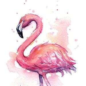 Meet your Posher, Sally